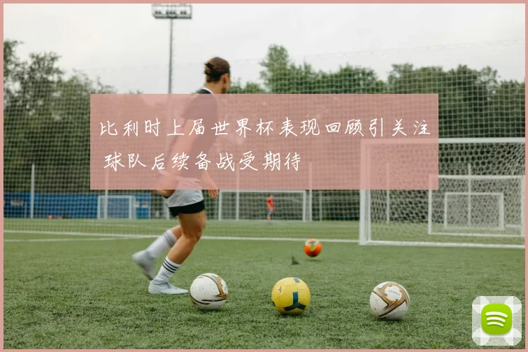 比利时上届世界杯表现回顾引关注 球队后续备战受期待